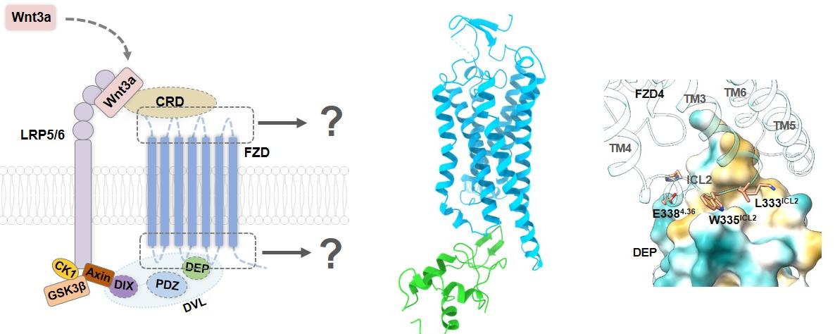亚洲在线赌博平台导航