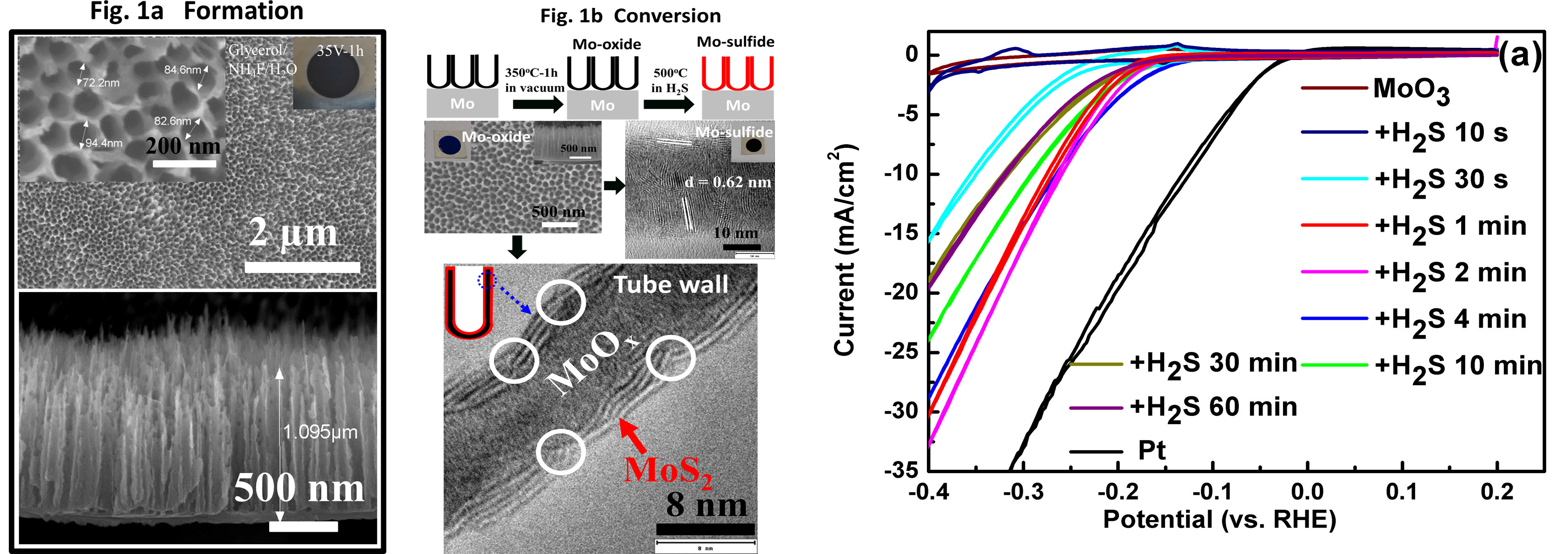 亚洲在线赌博平台导航