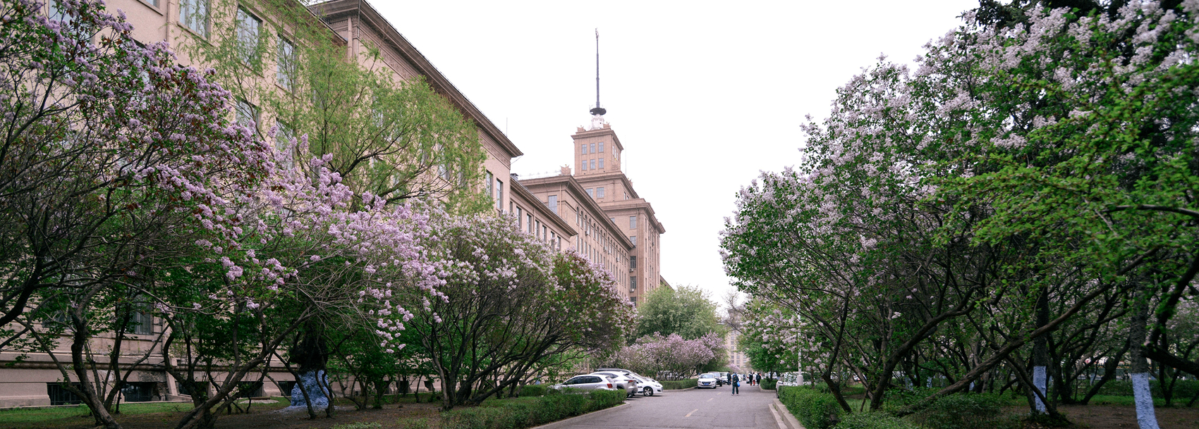 亚洲在线赌博平台导航