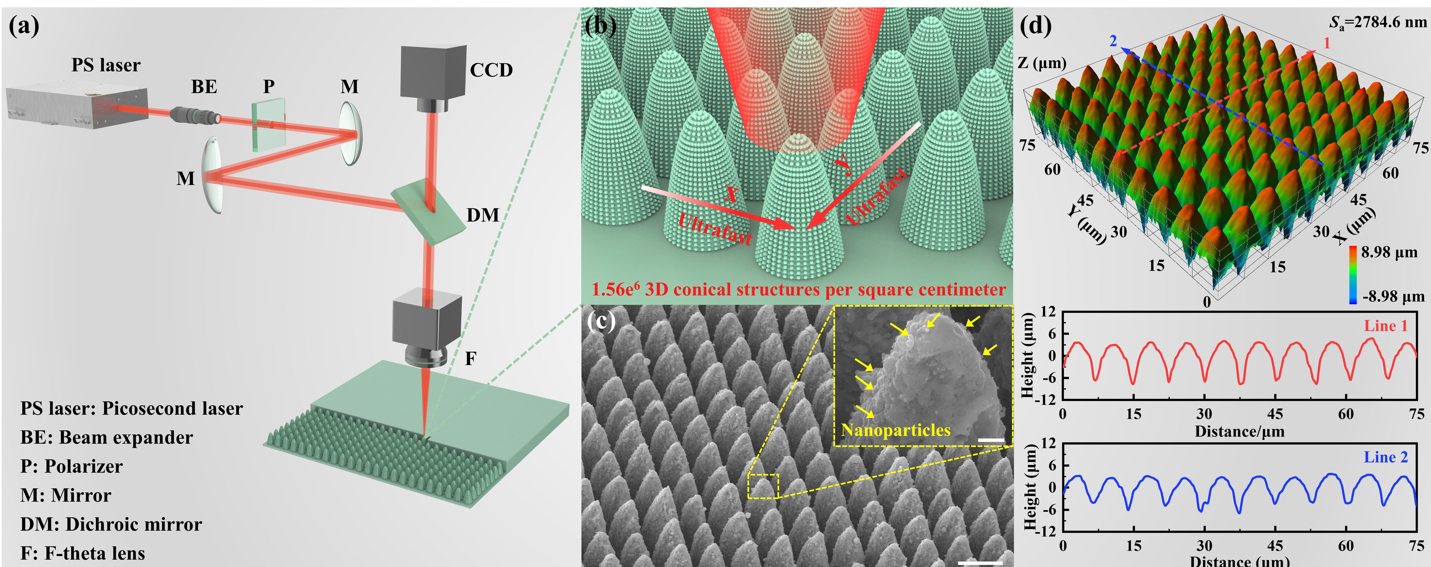 亚洲在线赌博平台导航