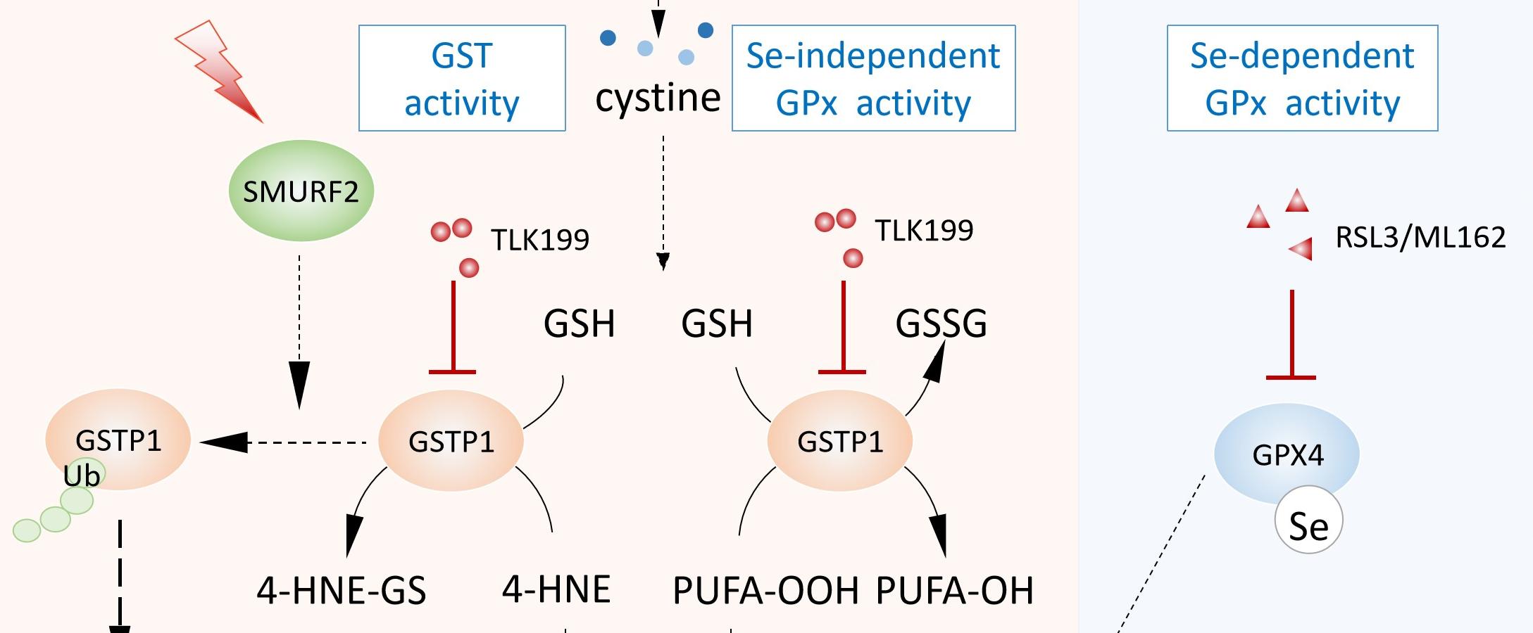 亚洲在线赌博平台导航