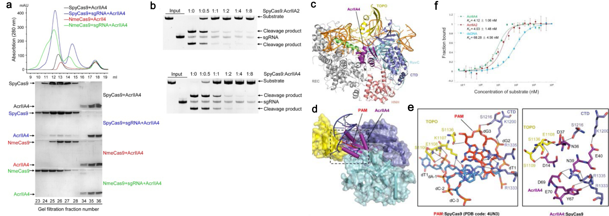 亚洲在线赌博平台导航