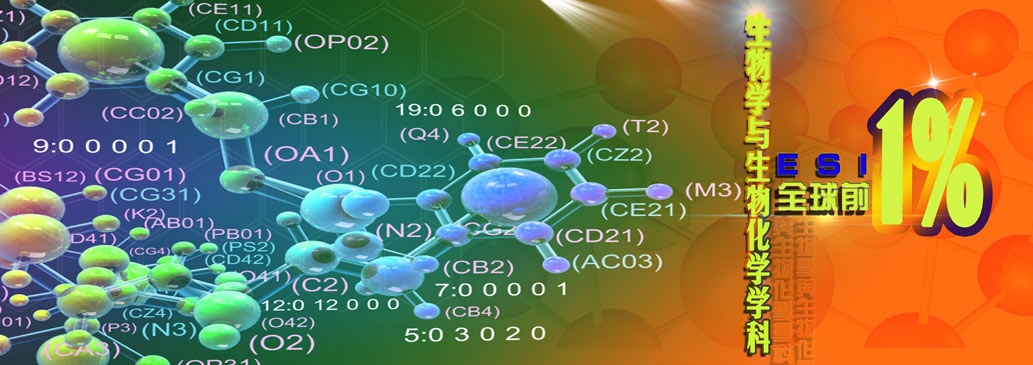 亚洲在线赌博平台导航