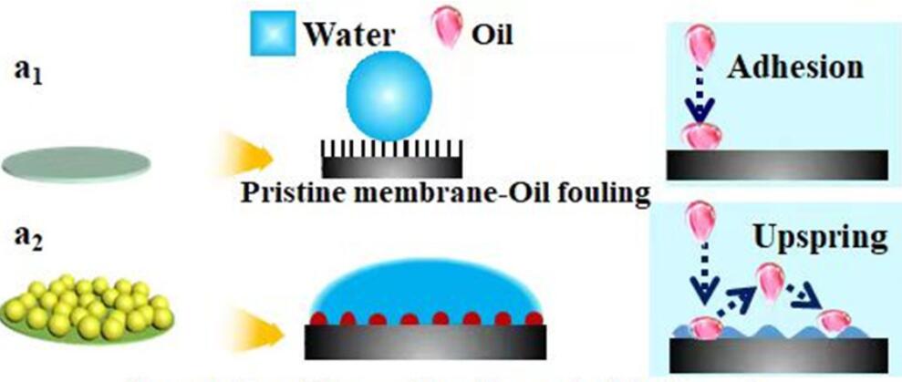 亚洲在线赌博平台导航