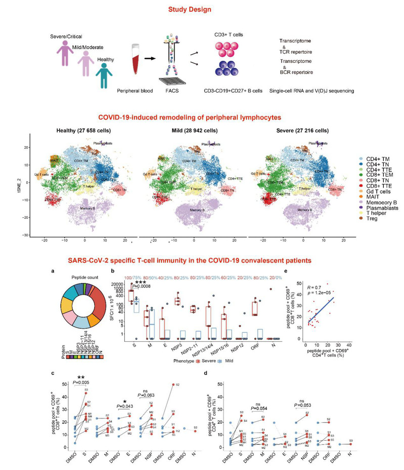 亚洲在线赌博平台导航