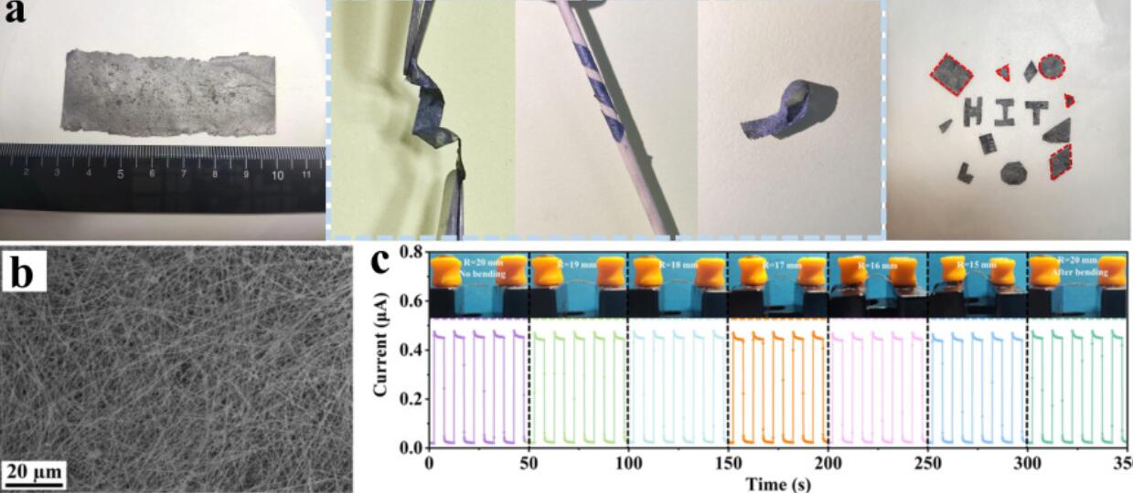 亚洲在线赌博平台导航
