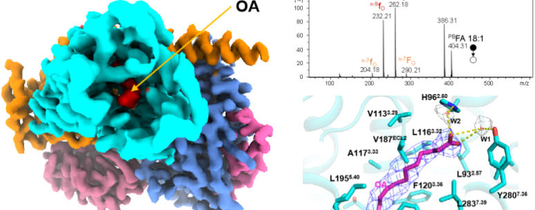 亚洲在线赌博平台导航