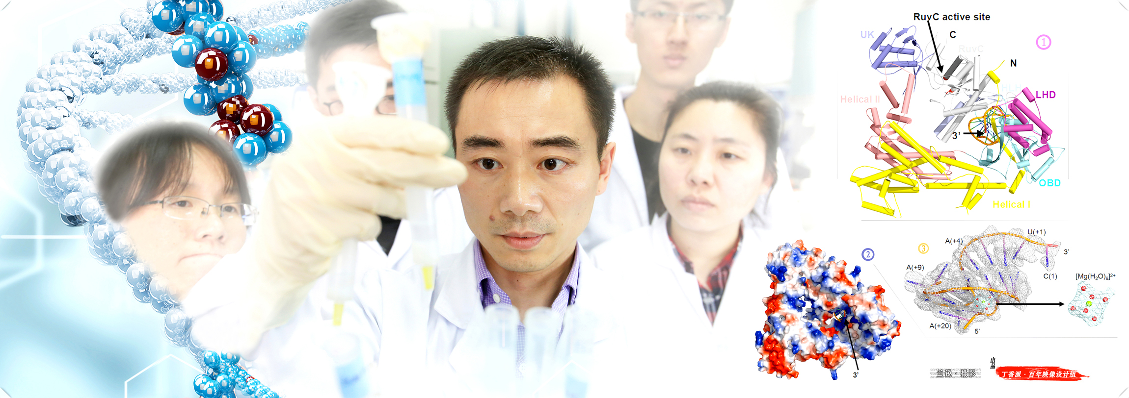 亚洲在线赌博平台导航