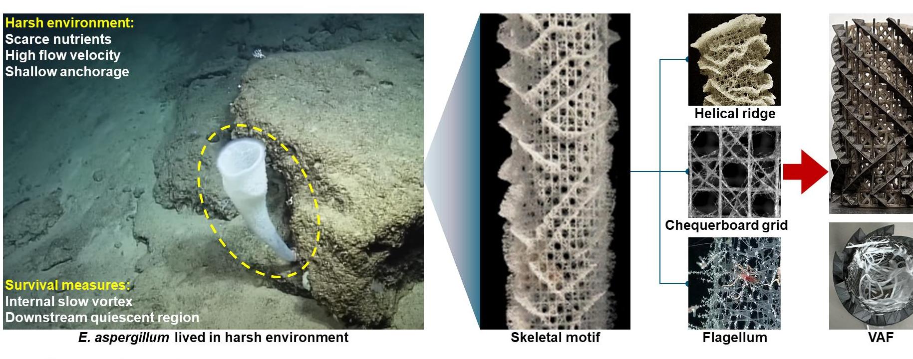 亚洲在线赌博平台导航