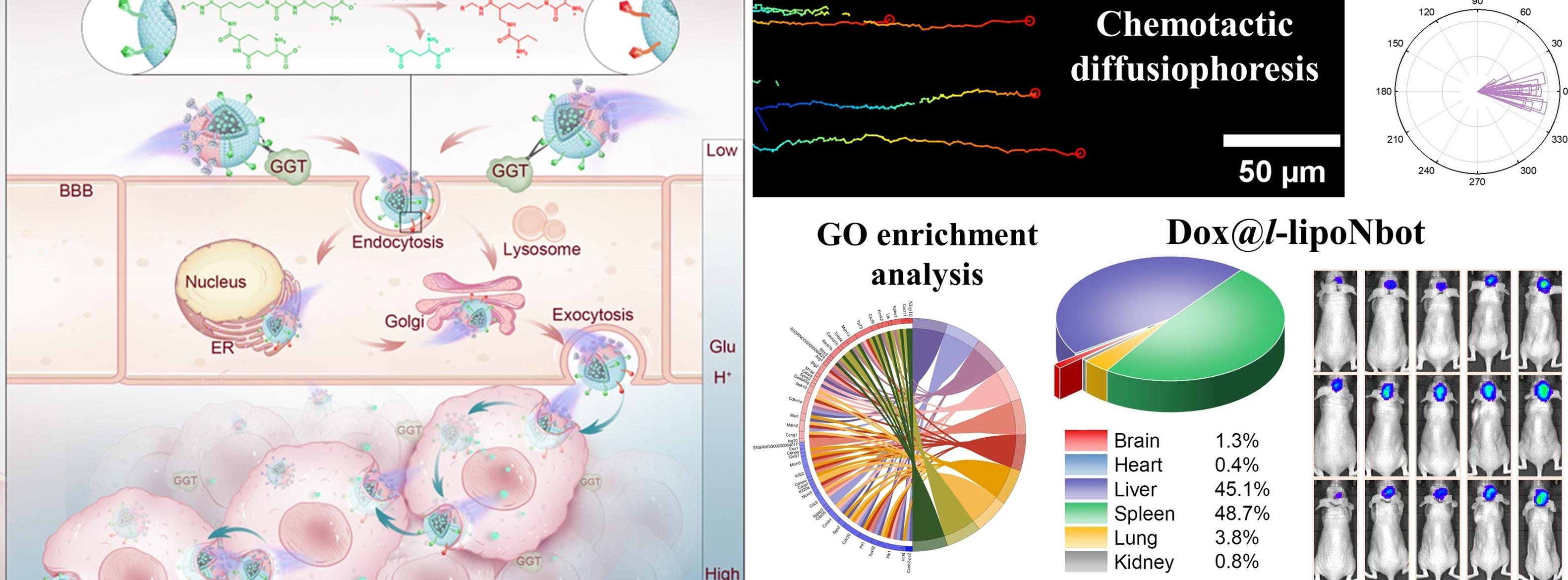 亚洲在线赌博平台导航