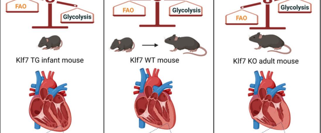 亚洲在线赌博平台导航