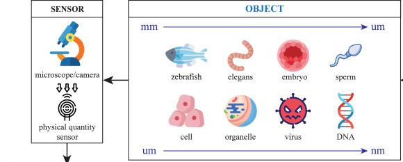 亚洲在线赌博平台导航