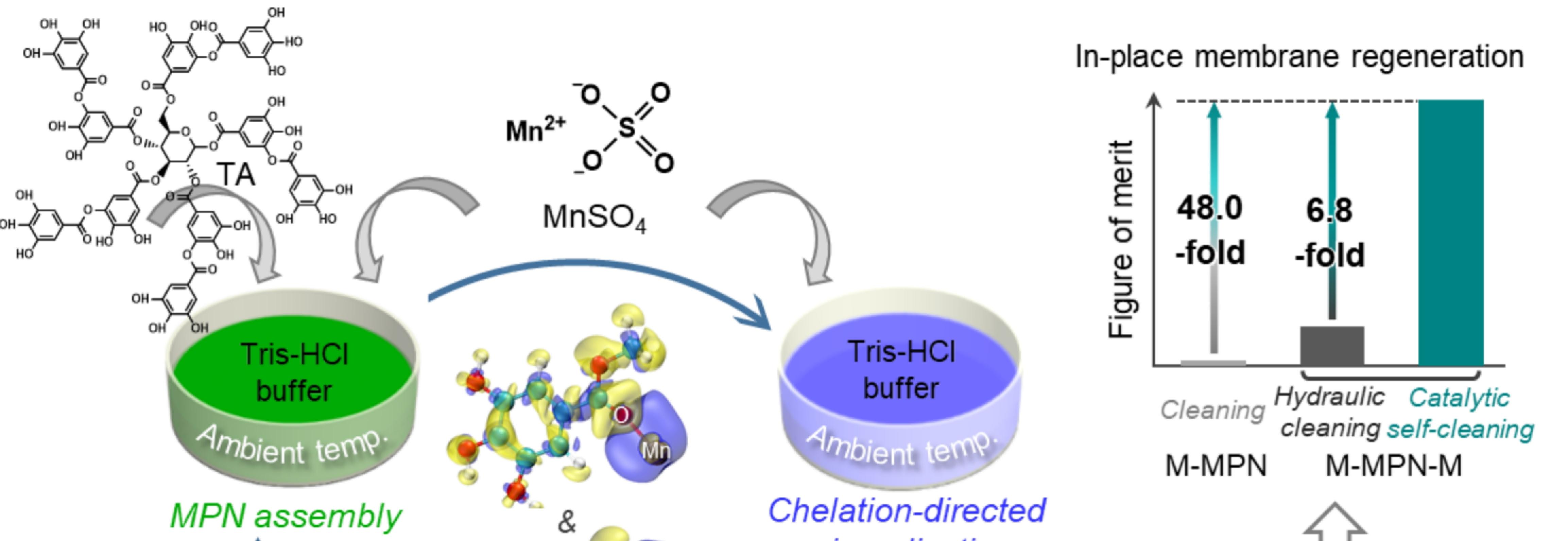 亚洲在线赌博平台导航