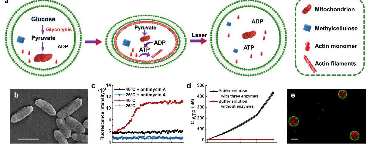 亚洲在线赌博平台导航