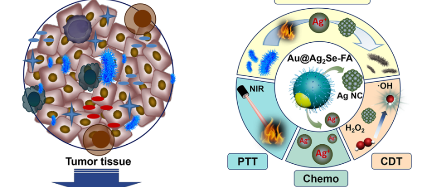 亚洲在线赌博平台导航