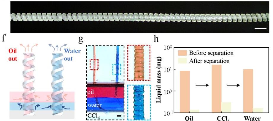 亚洲在线赌博平台导航