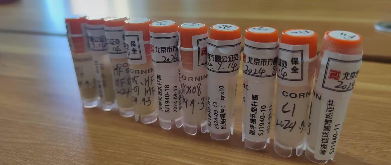 亚洲在线赌博平台导航