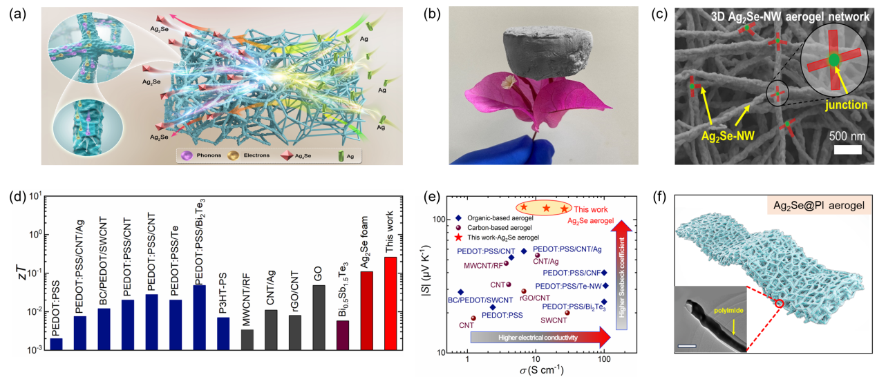 亚洲在线赌博平台导航