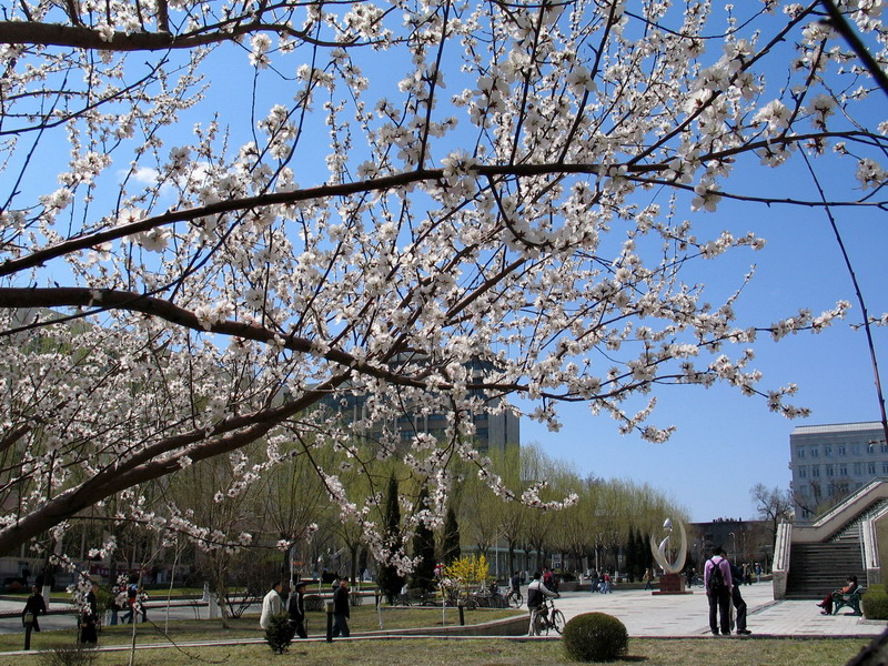亚洲在线赌博平台导航
