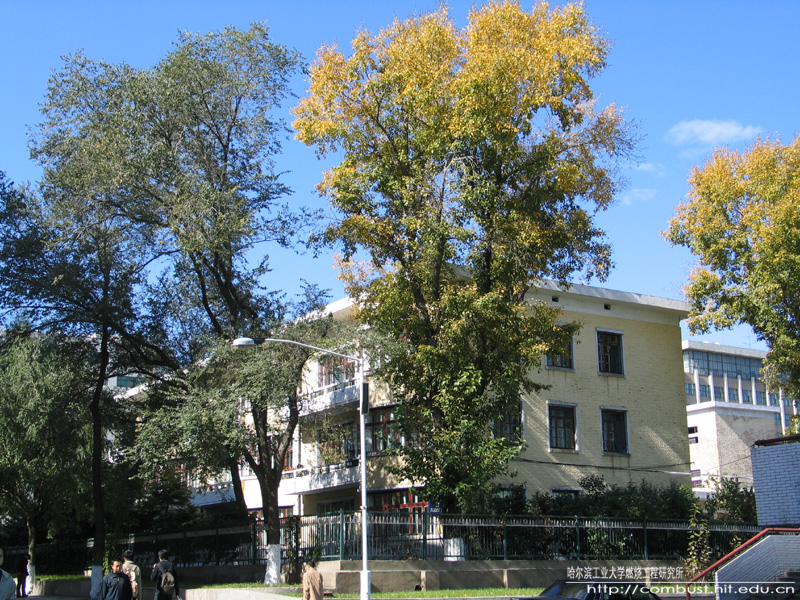 亚洲在线赌博平台导航