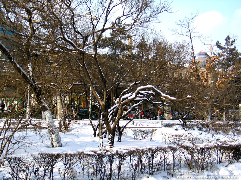 亚洲在线赌博平台导航