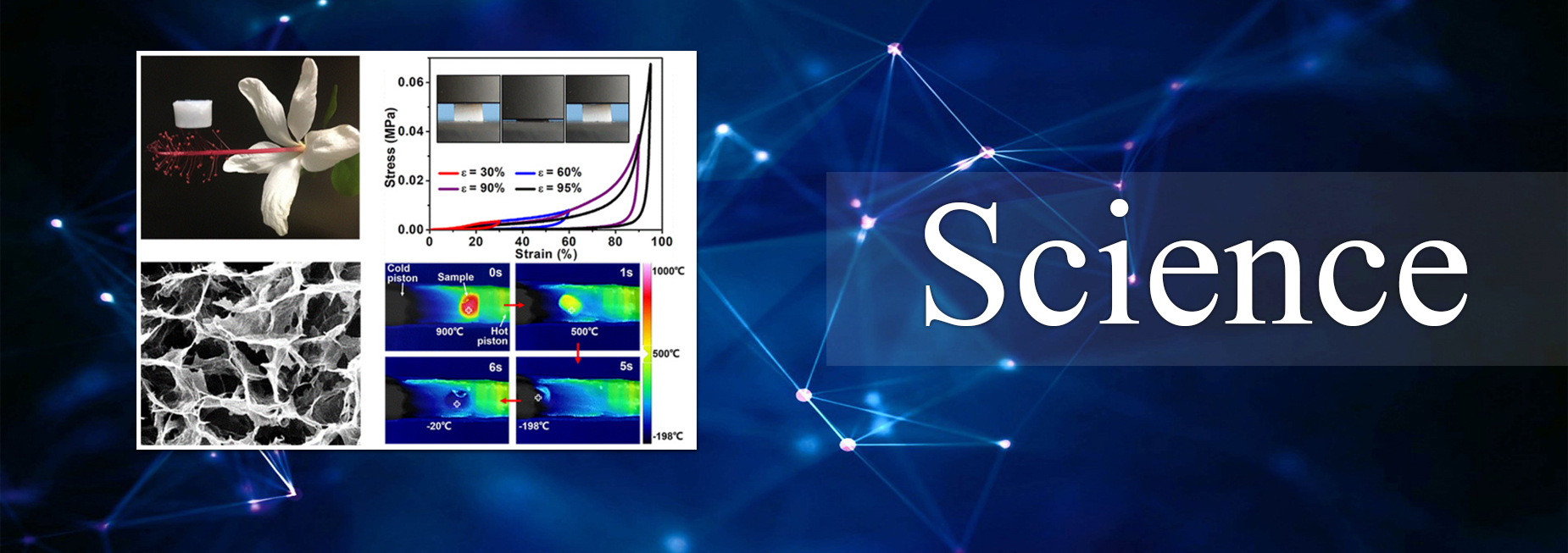 亚洲在线赌博平台导航
