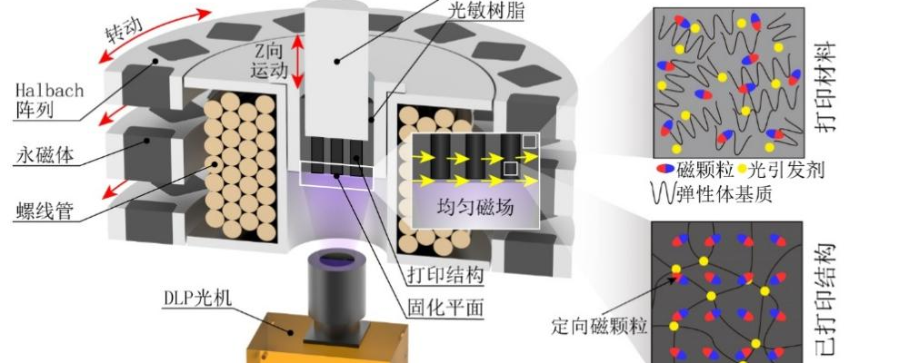 亚洲在线赌博平台导航