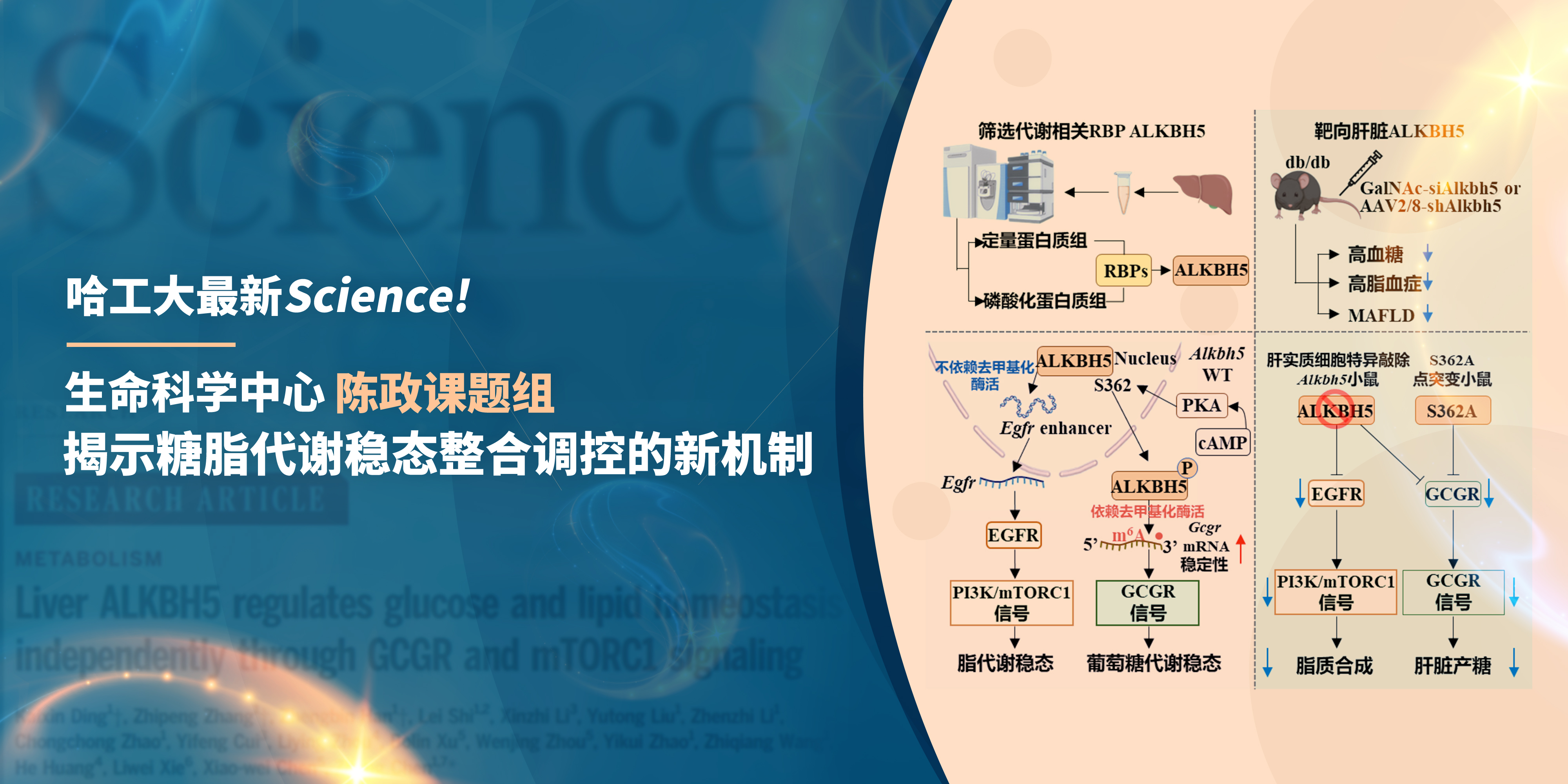 亚洲在线赌博平台导航