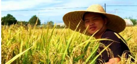 亚洲在线赌博平台导航