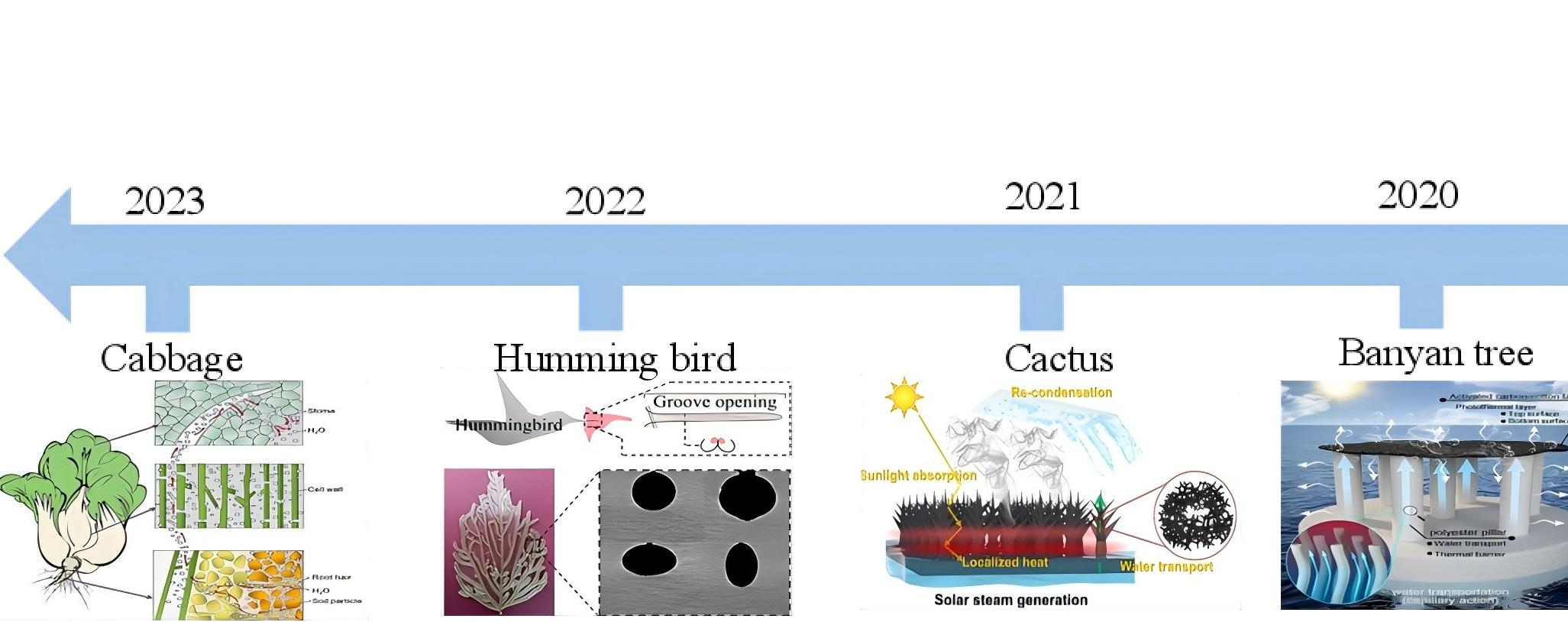 亚洲在线赌博平台导航