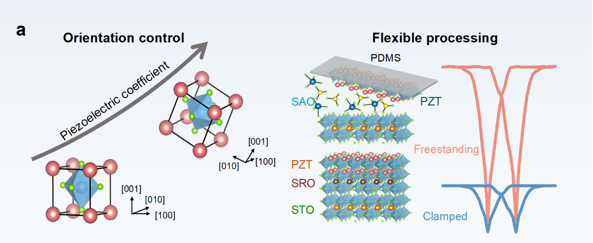 亚洲在线赌博平台导航