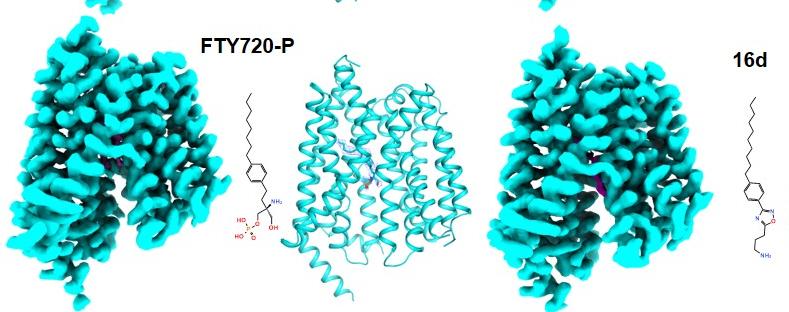 亚洲在线赌博平台导航