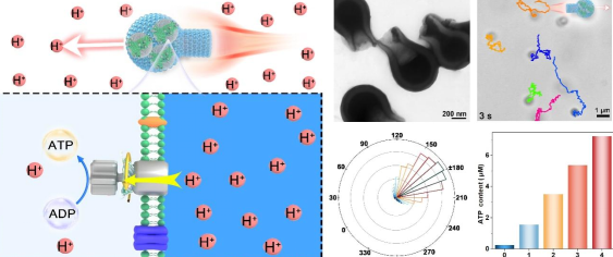 亚洲在线赌博平台导航