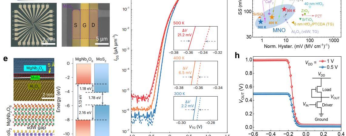 亚洲在线赌博平台导航