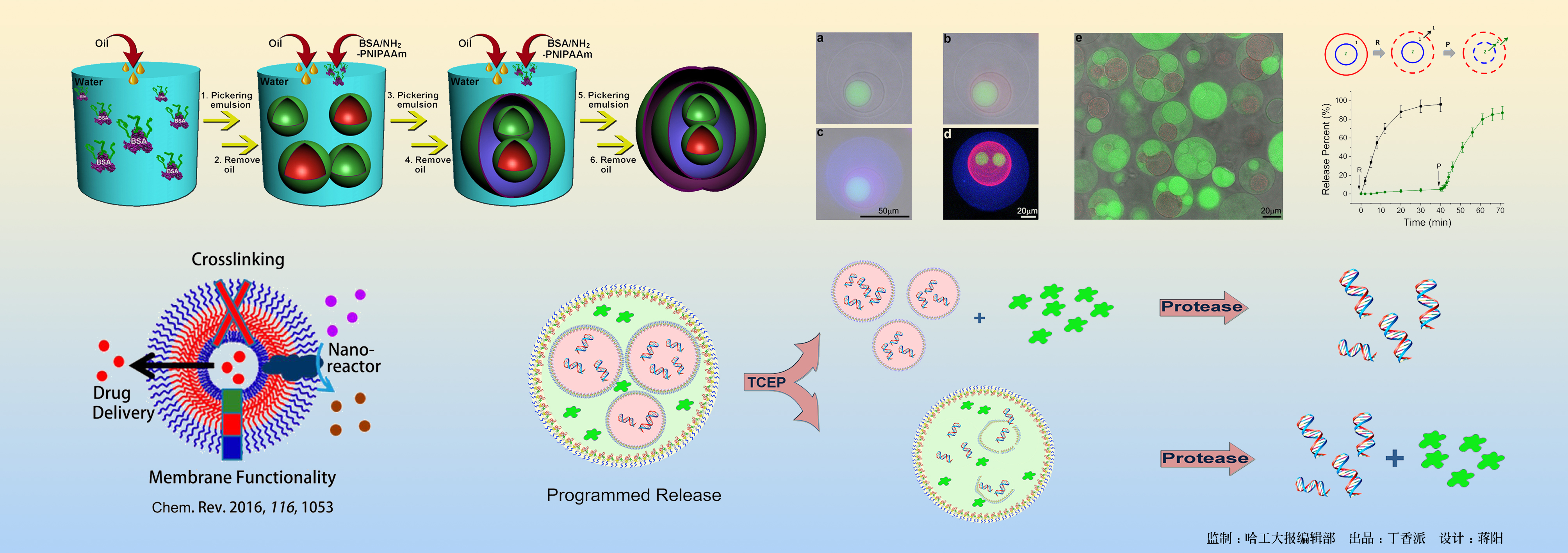 亚洲在线赌博平台导航
