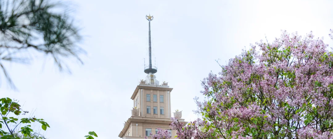 亚洲在线赌博平台导航
