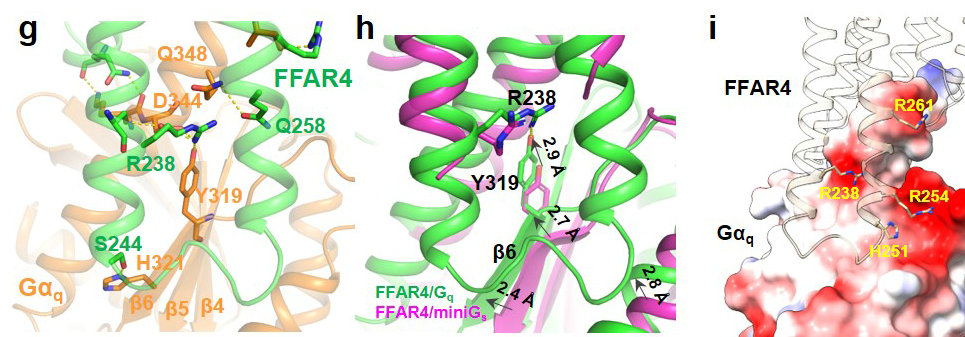 亚洲在线赌博平台导航