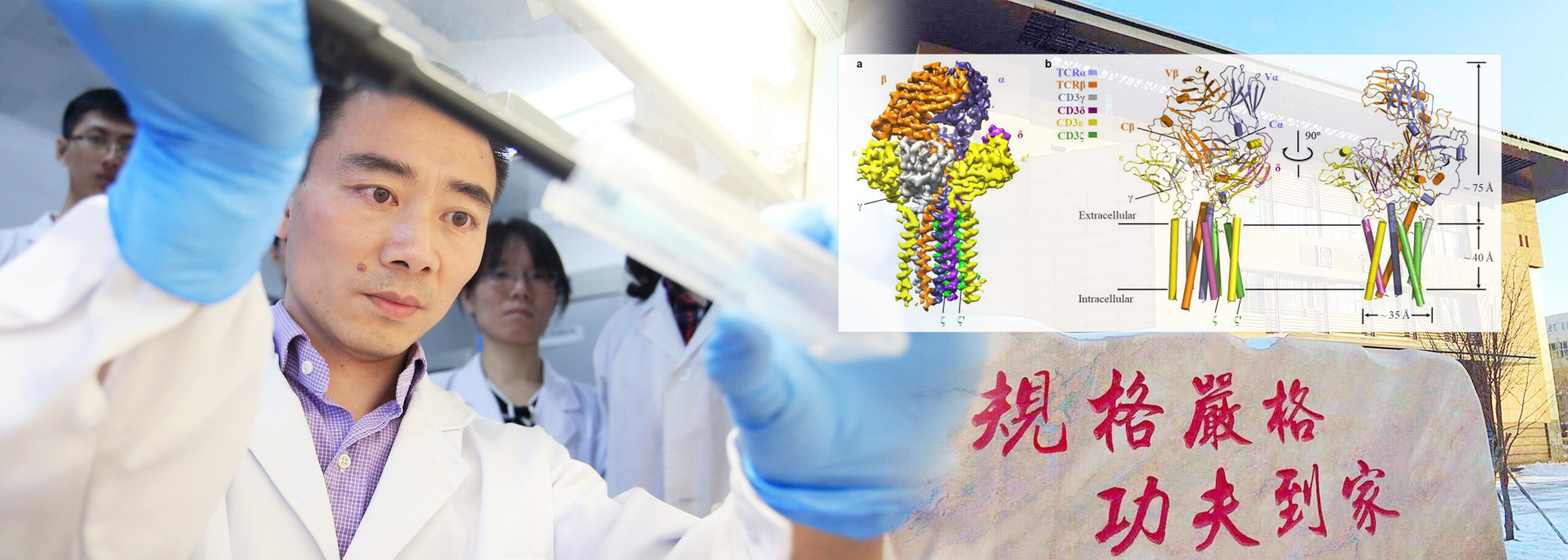 亚洲在线赌博平台导航