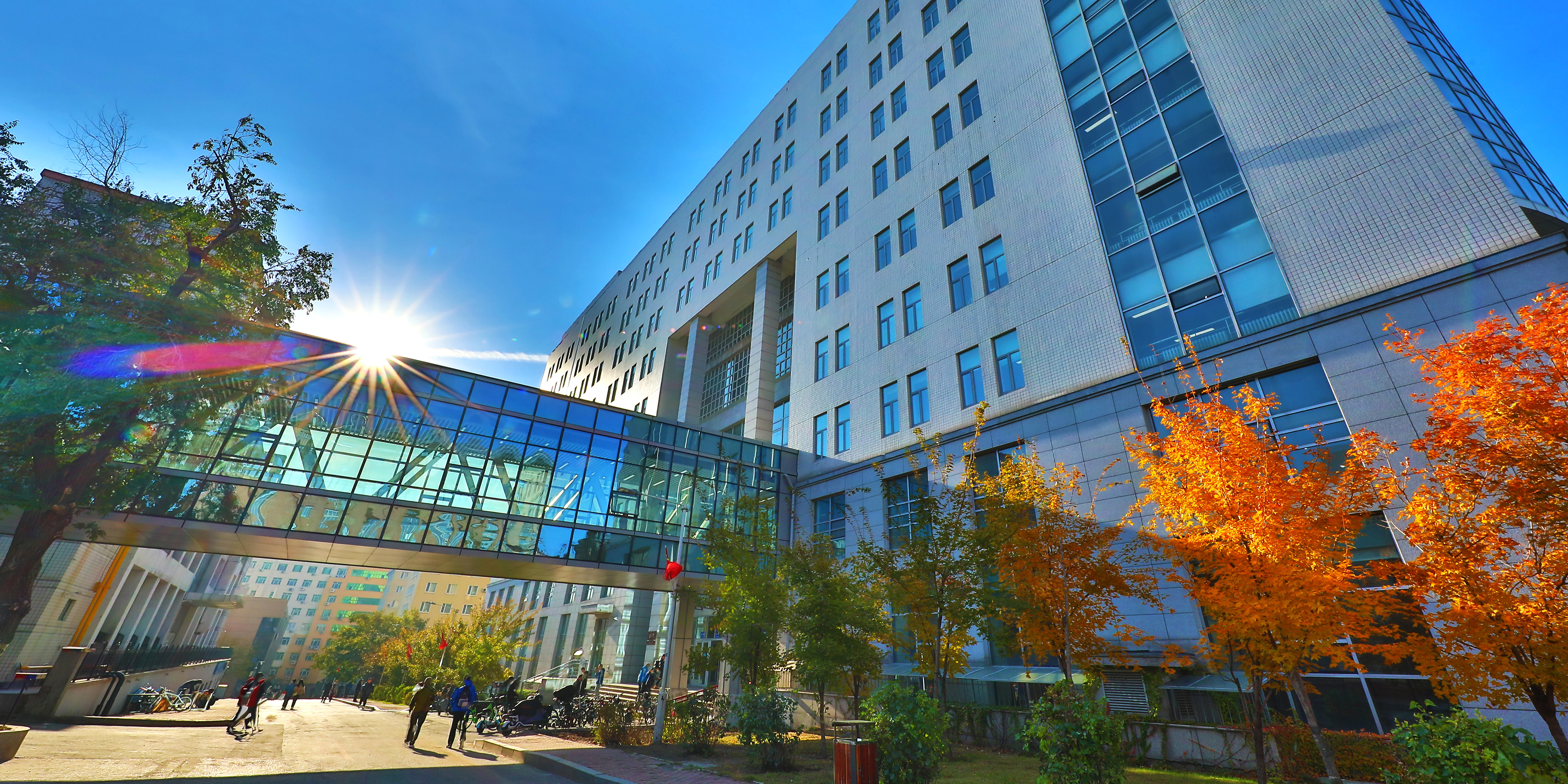 亚洲在线赌博平台导航