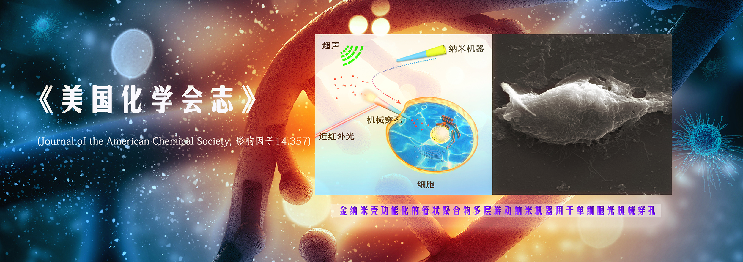 亚洲在线赌博平台导航