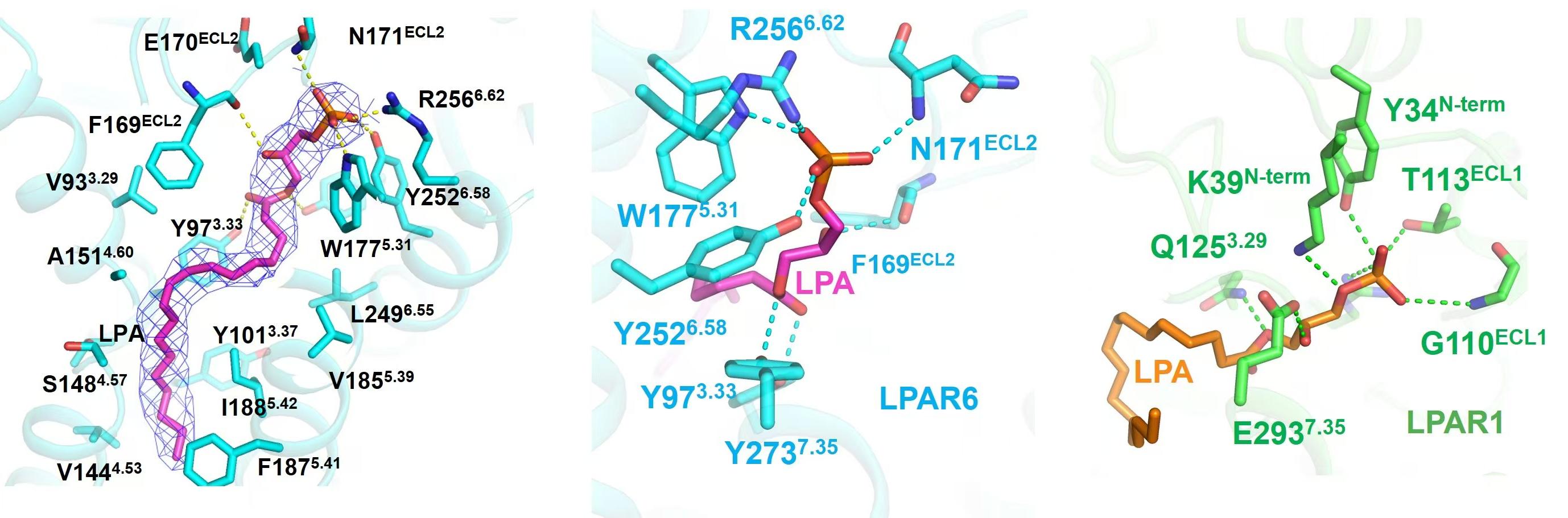 亚洲在线赌博平台导航