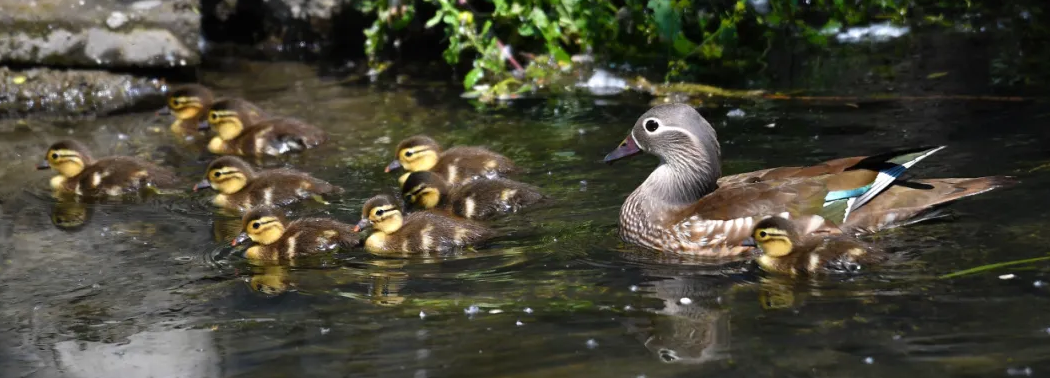 亚洲在线赌博平台导航