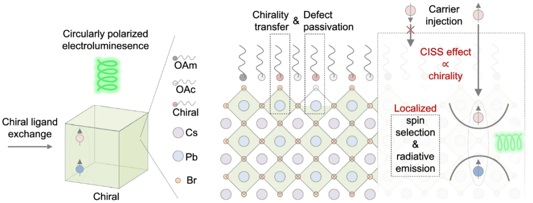 亚洲在线赌博平台导航