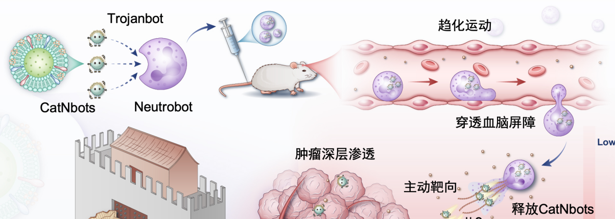 亚洲在线赌博平台导航