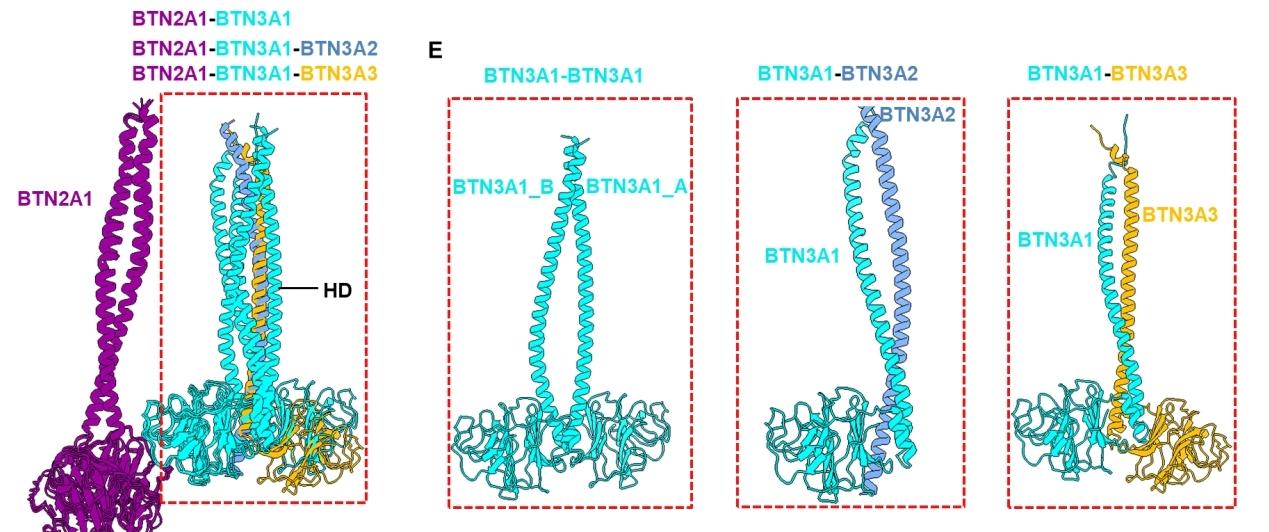 亚洲在线赌博平台导航